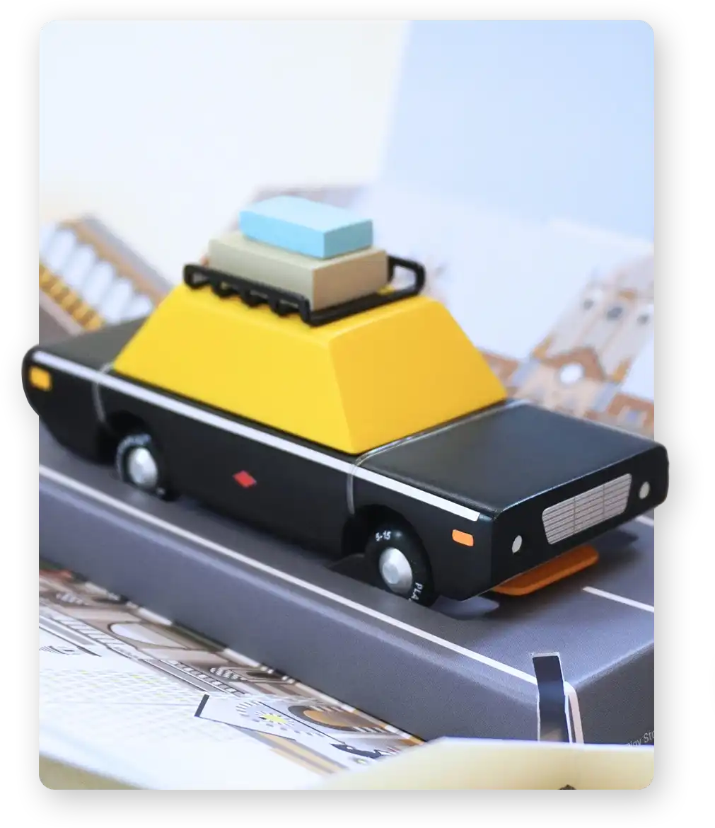 Model wearing Rouka Saree