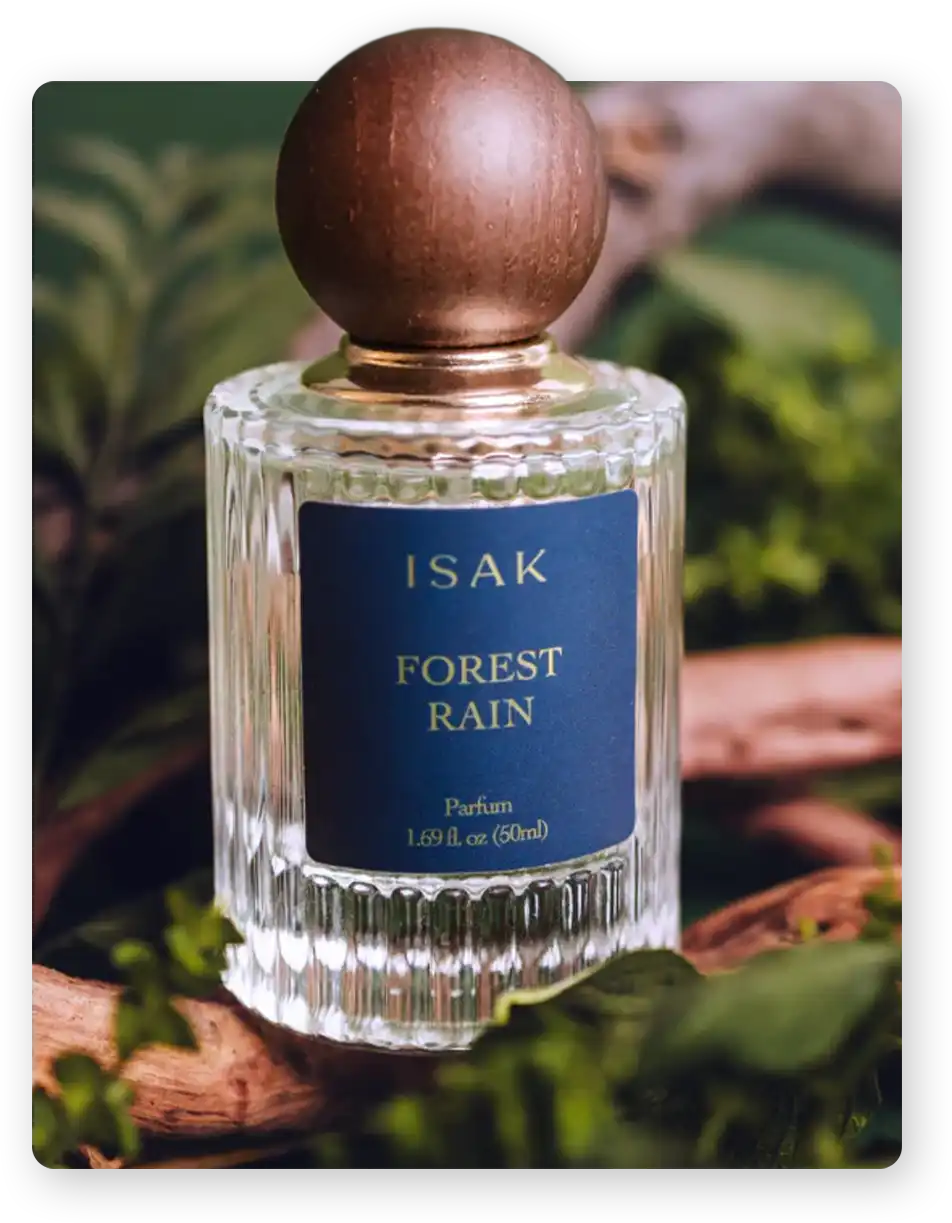 Model wearing Rouka Saree