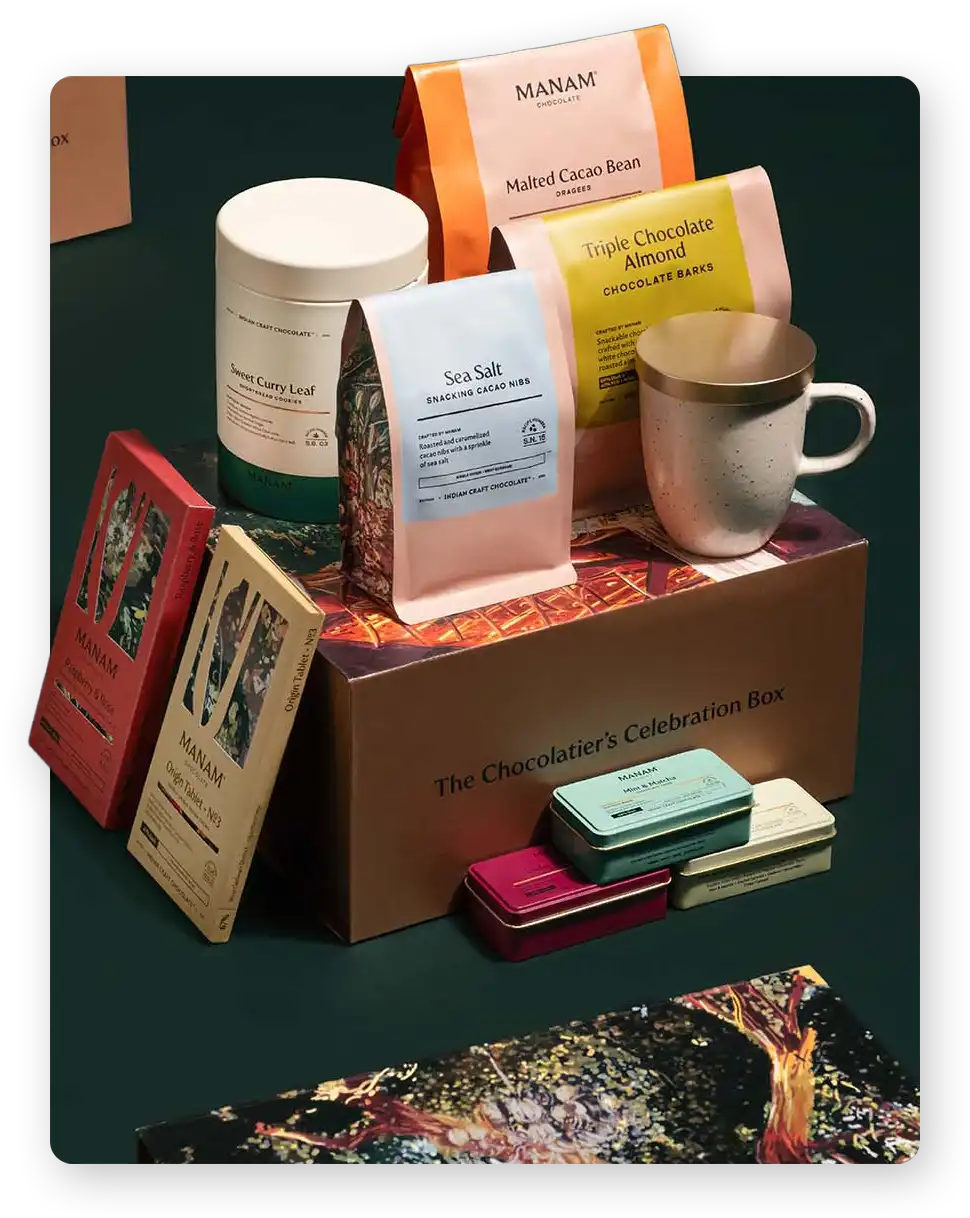 Model wearing Rouka Saree