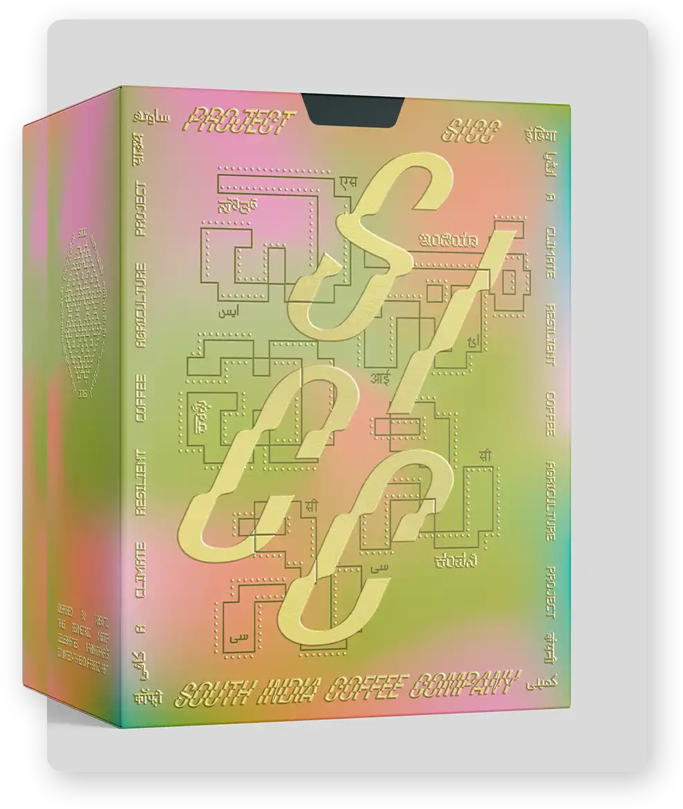 Model wearing Rouka Saree