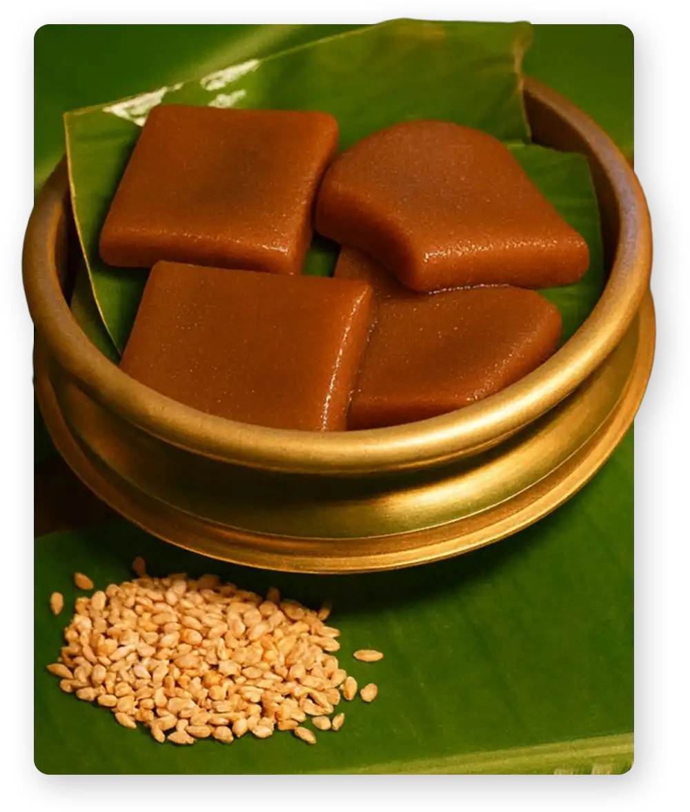 Model wearing Rouka Saree