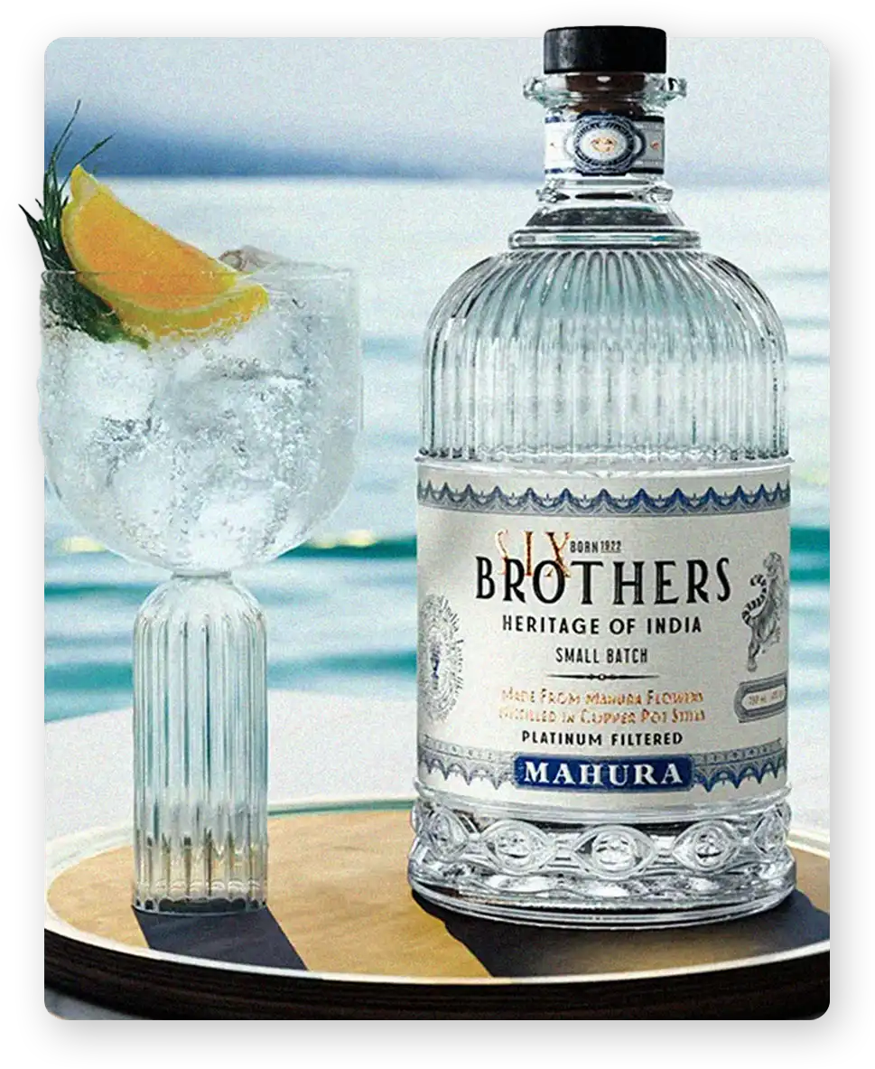 Model wearing Rouka Saree