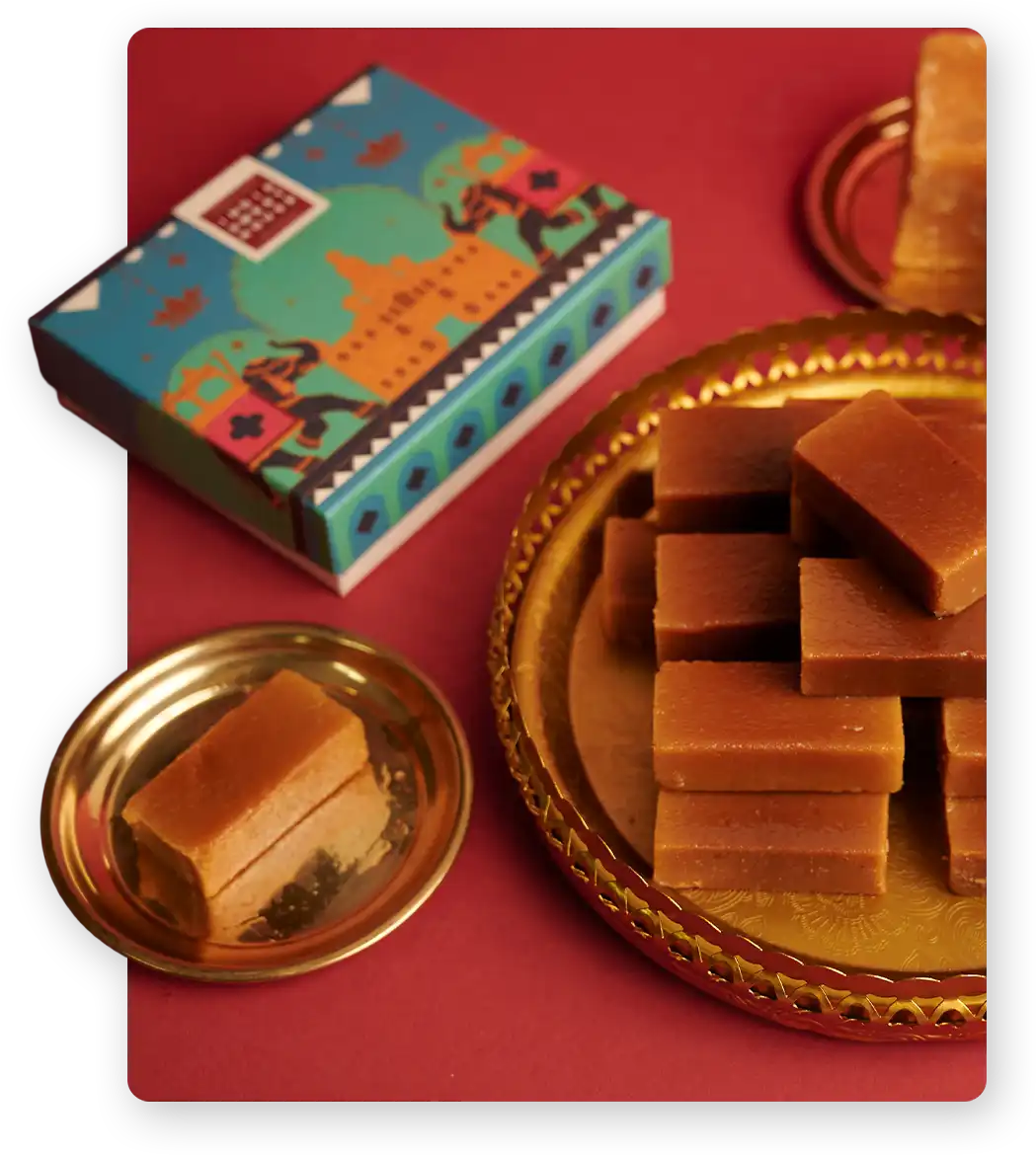 Model wearing Rouka Saree