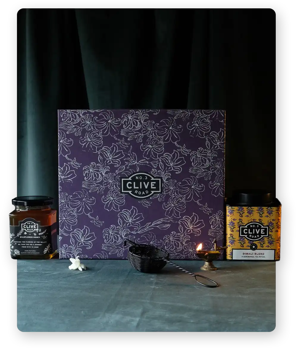 Model wearing Rouka Saree