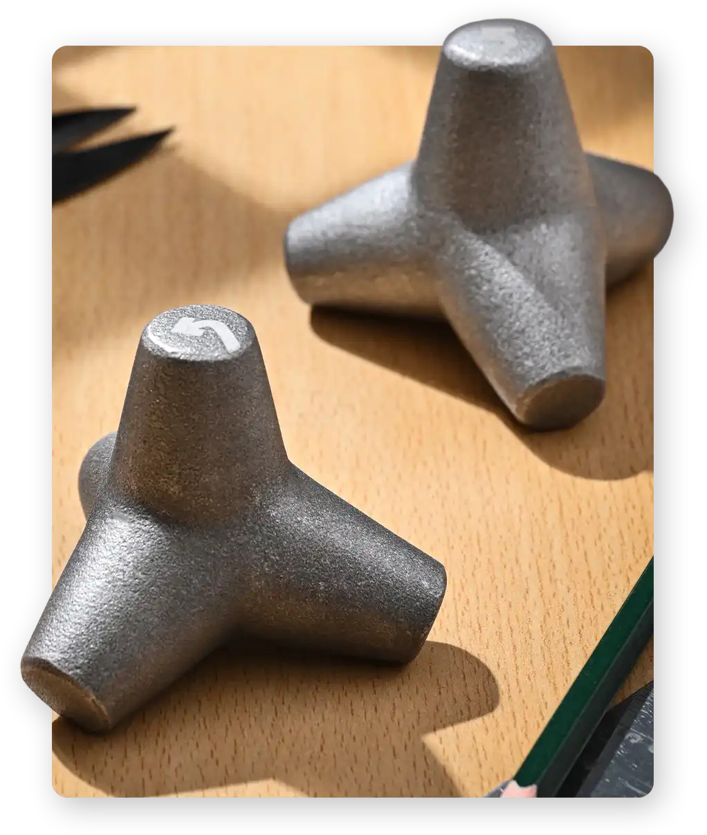 Model wearing Rouka Saree