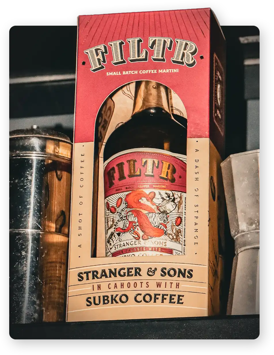 Model wearing Rouka Saree