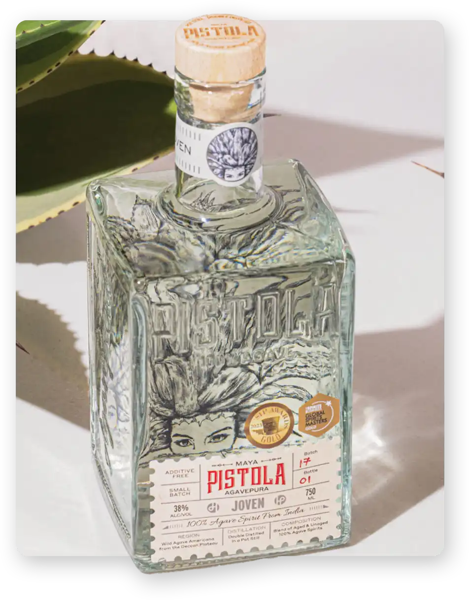 Model wearing Rouka Saree